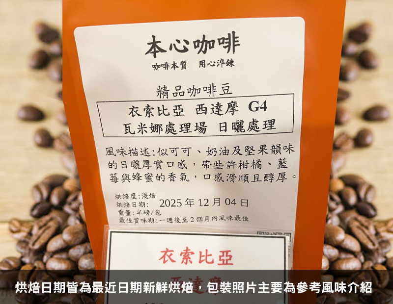 衣索比亞 瓦米娜處理場 西達摩 日曬處理 G4